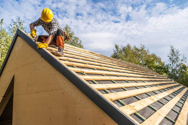 Best Roof Gutter Cleaning  in Falconer, NY